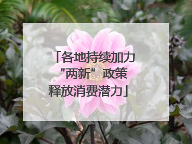 各地持续加力“两新”政策 释放消费潜力