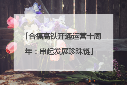 合福高铁开通运营十周年：串起发展珍珠链