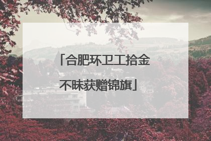 合肥环卫工拾金不昧获赠锦旗