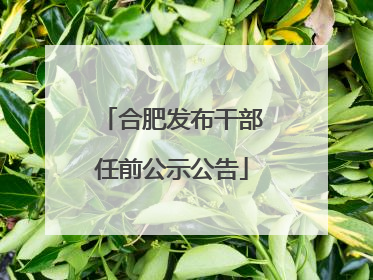 合肥发布干部任前公示公告