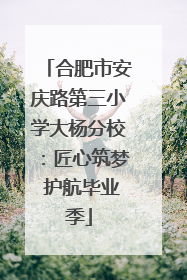 合肥市安庆路第三小学大杨分校：匠心筑梦 护航毕业季