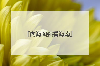 向海图强看海南