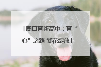 周口育新高中：育“心”之路 繁花绽放