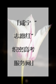咸宁“志愿红”织密高考服务网