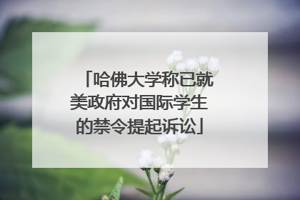 哈佛大学称已就美政府对国际学生的禁令提起诉讼