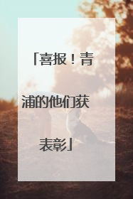 喜报！青浦的他们获表彰