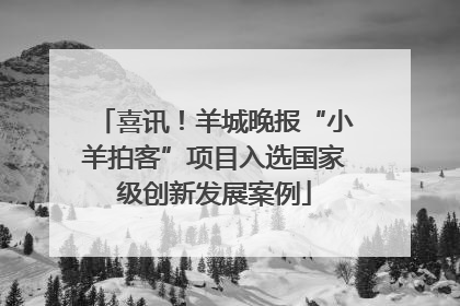 喜讯！羊城晚报“小羊拍客”项目入选国家级创新发展案例