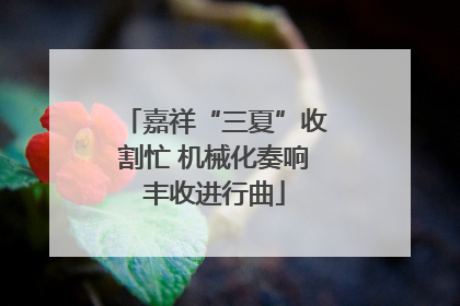嘉祥“三夏”收割忙 机械化奏响丰收进行曲