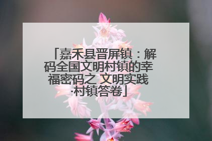 嘉禾县晋屏镇：解码全国文明村镇的幸福密码之 文明实践·村镇答卷