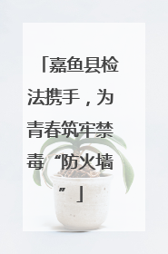 嘉鱼县检法携手，为青春筑牢禁毒“防火墙”