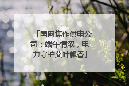 国网焦作供电公司：端午情浓，电力守护艾叶飘香
