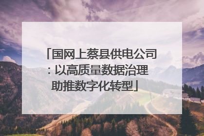 国网上蔡县供电公司：以高质量数据治理 助推数字化转型
