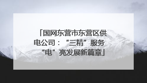 国网东营市东营区供电公司：“三精”服务“电”亮发展新篇章
