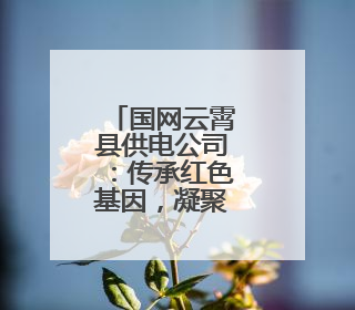 国网云霄县供电公司：传承红色基因，凝聚奋进力量