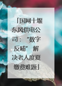 国网十堰东风供电公司：“数字反哺” 解决老人度夏缴费难题