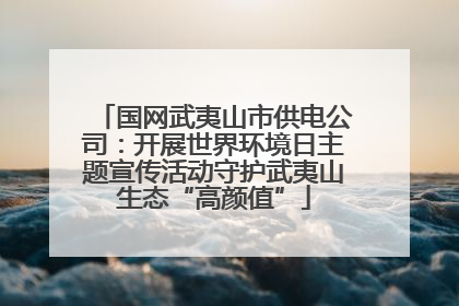 国网武夷山市供电公司：开展世界环境日主题宣传活动守护武夷山生态“高颜值”