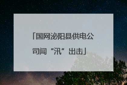 国网泌阳县供电公司闻“汛”出击