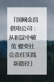国网金昌供电公司：从积淀中破茧 蝶变社会责任实践新路径