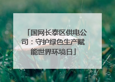 国网长泰区供电公司：守护绿色生产赋能世界环境日
