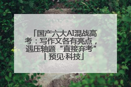 国产六大AI混战高考：写作文各有亮点，遇压轴题“直接弃考”丨预见·科技
