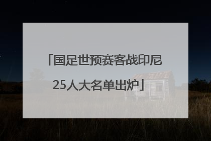 国足世预赛客战印尼25人大名单出炉