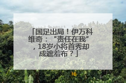 国足出局！伊万科维奇：“责任在我”，18岁小将首秀却成遮羞布？