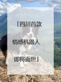 四川首款情感机器人即将面世