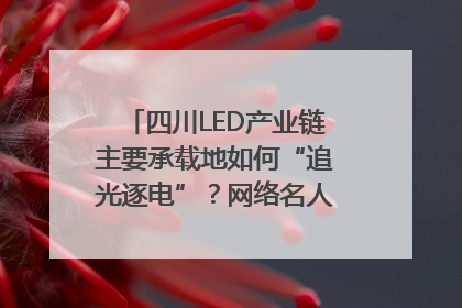 四川LED产业链主要承载地如何“追光逐电”？网络名人走进攀枝花找答案｜网络名人四川行