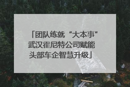 团队练就“大本事” 武汉霍尼特公司赋能头部车企智慧升级