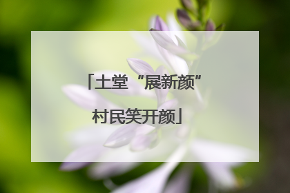 土堂“展新颜” 村民笑开颜