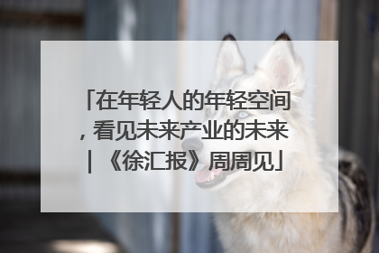 在年轻人的年轻空间，看见未来产业的未来｜《徐汇报》周周见