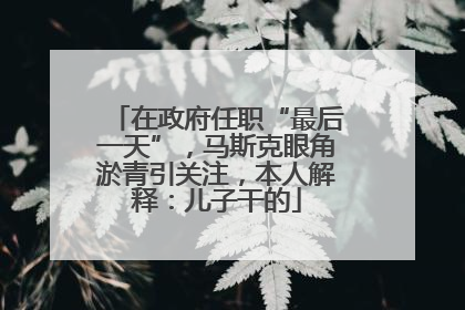 在政府任职“最后一天”，马斯克眼角淤青引关注，本人解释：儿子干的
