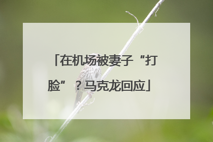 在机场被妻子“打脸”？马克龙回应
