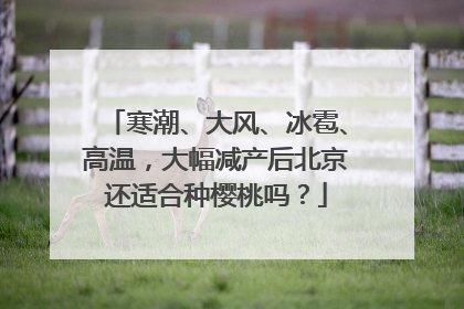 寒潮、大风、冰雹、高温，大幅减产后北京还适合种樱桃吗？