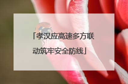 孝汉应高速多方联动筑牢安全防线