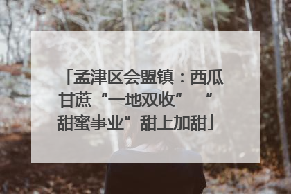 孟津区会盟镇：西瓜甘蔗“一地双收” “甜蜜事业”甜上加甜