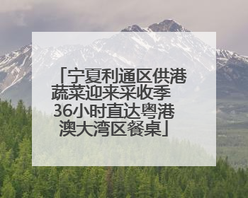 宁夏利通区供港蔬菜迎来采收季 36小时直达粤港澳大湾区餐桌
