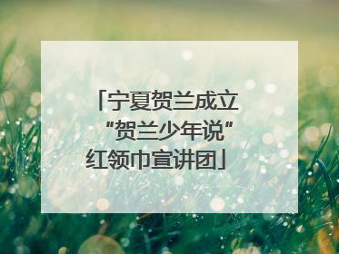 宁夏贺兰成立“贺兰少年说”红领巾宣讲团