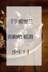 宁夏贺兰 奔跑吧 轮滑少年！