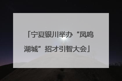 宁夏银川举办“凤鸣湖城”招才引智大会