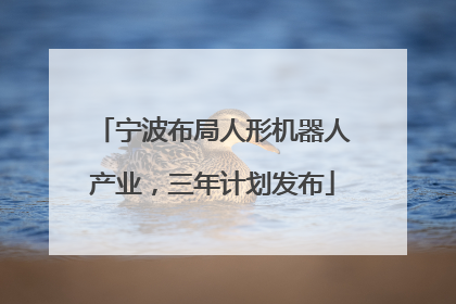 宁波布局人形机器人产业，三年计划发布