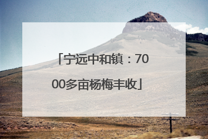 宁远中和镇：7000多亩杨梅丰收