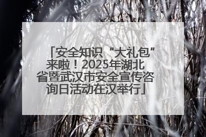 安全知识“大礼包”来啦！2025年湖北省暨武汉市安全宣传咨询日活动在汉举行