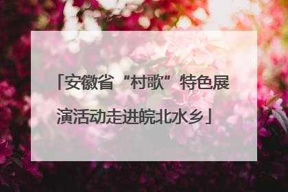 安徽省“村歌”特色展演活动走进皖北水乡