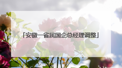 安徽一省属国企总经理调整
