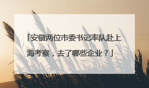 安徽两位市委书记率队赴上海考察，去了哪些企业？