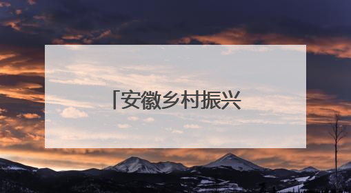安徽乡村振兴电商联盟亮相深圳文博会