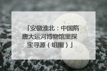 安徽淮北：中国隋唐大运河博物馆里探宝寻源（组图）