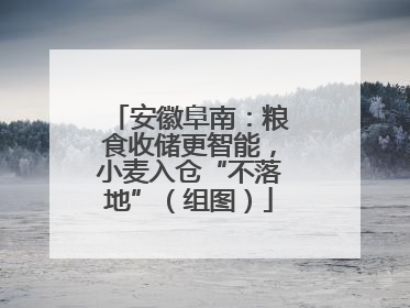 安徽阜南：粮食收储更智能，小麦入仓“不落地”（组图）