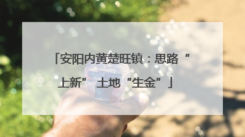 安阳内黄楚旺镇：思路“上新” 土地“生金”